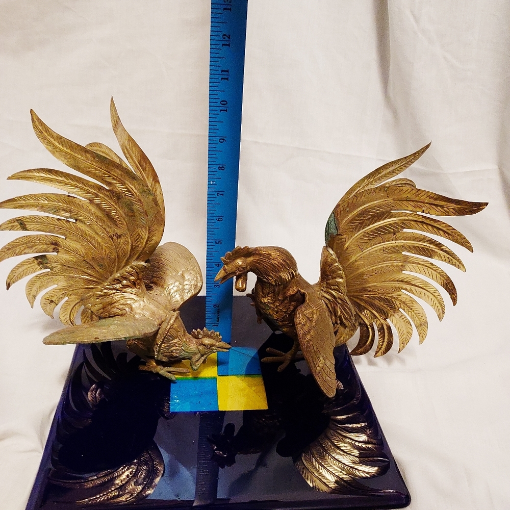 Fighting cock